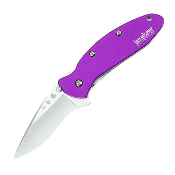 Kershaw Scallion Assisted 2.5 in BB Plain Blue Aluminum